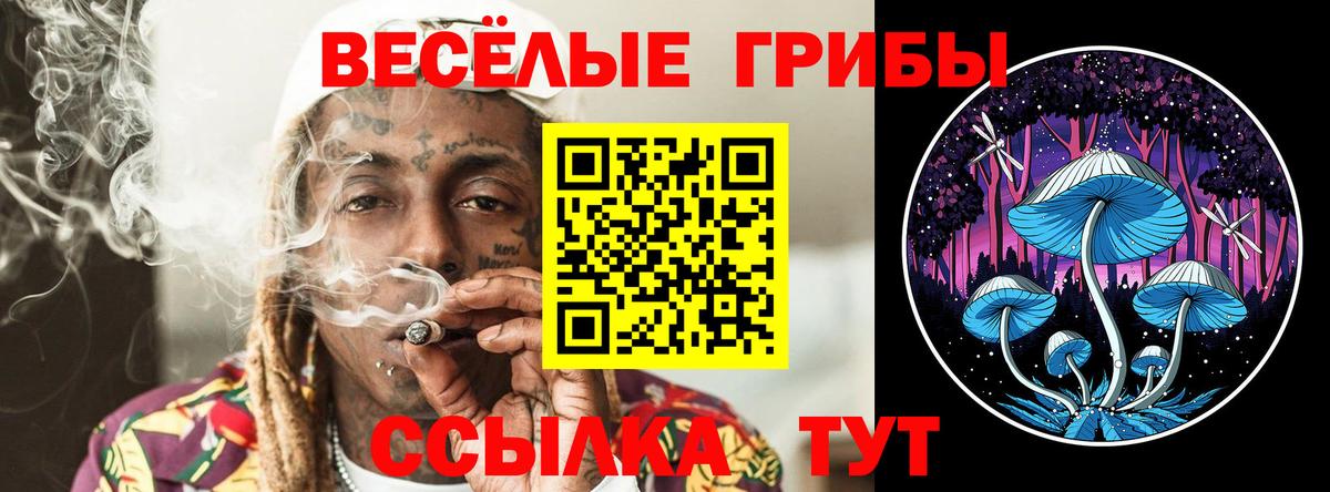 где купить наркоту  Псилоцибиновые грибы Cubensis  Вход с VPN  Псилоцибиновые грибы Cubensis  Красногорск 